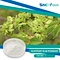 SNC | Good Fortune is a professional Slippery Elm Powder supplier in China supplies all kinds of healthy ingredient.